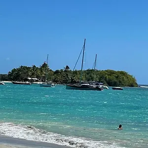 Splendide A Proximite De La Appartement Le Gosier (Grande-Terre)